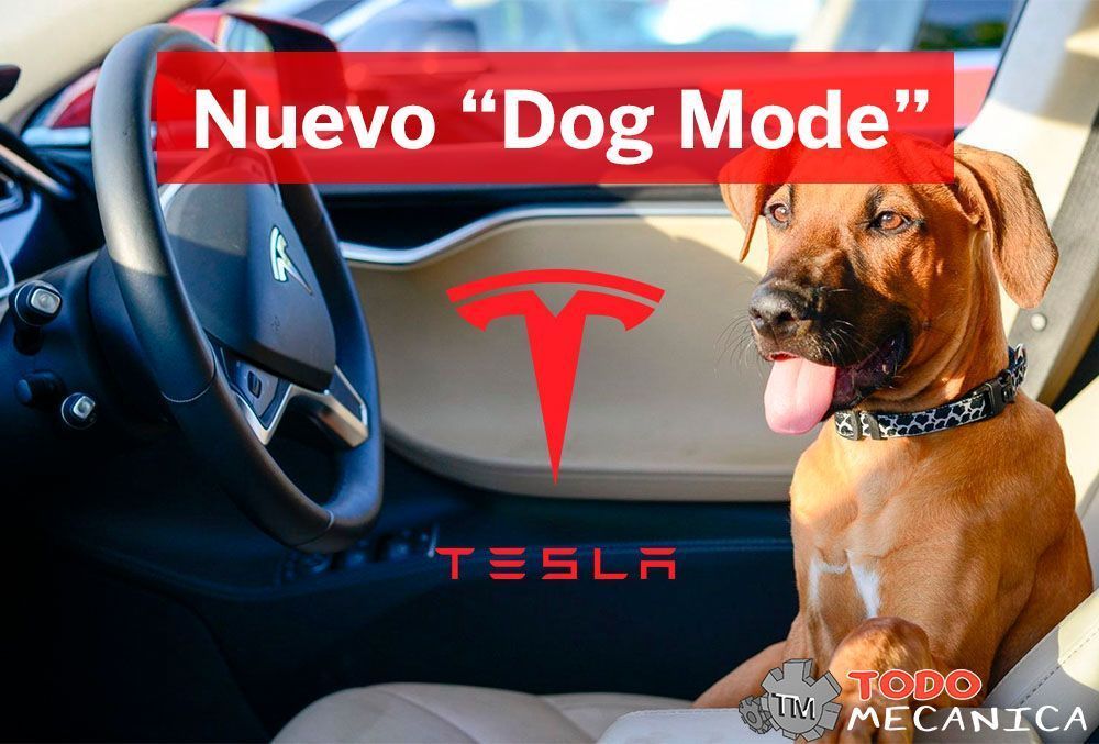 Unaltd Nikola Tesla Dogs YSM別注カラー 【ほぼ新品】 - dcsh.xoc